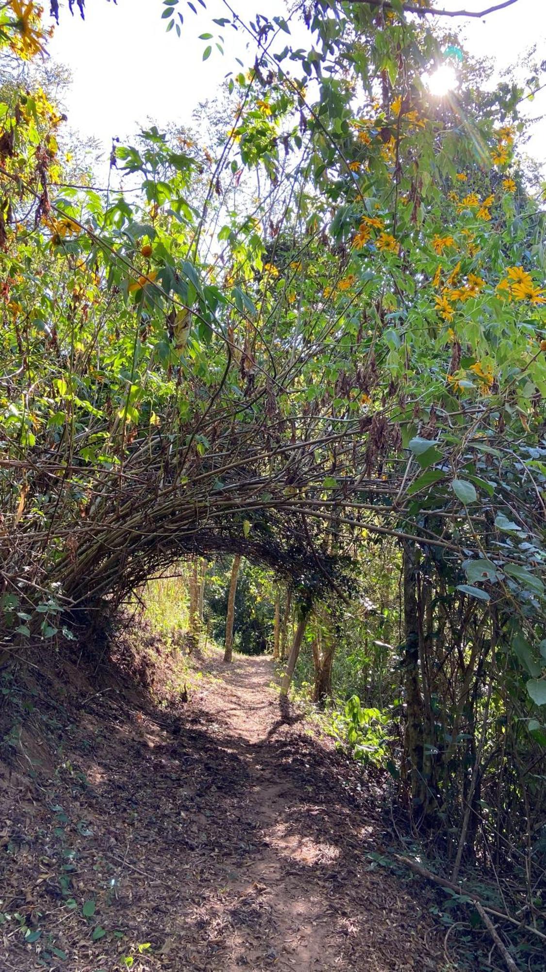 Chale Laranja - Sitio Caldeirao Villa Posse  Bagian luar foto