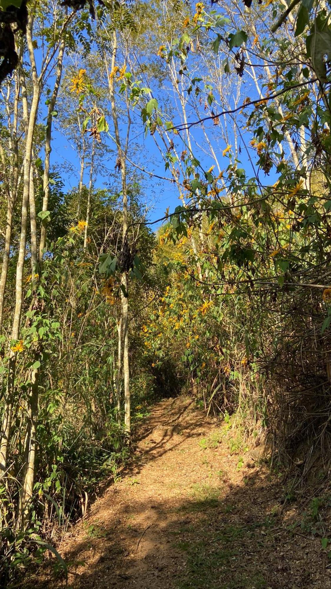 Chale Laranja - Sitio Caldeirao Villa Posse  Bagian luar foto