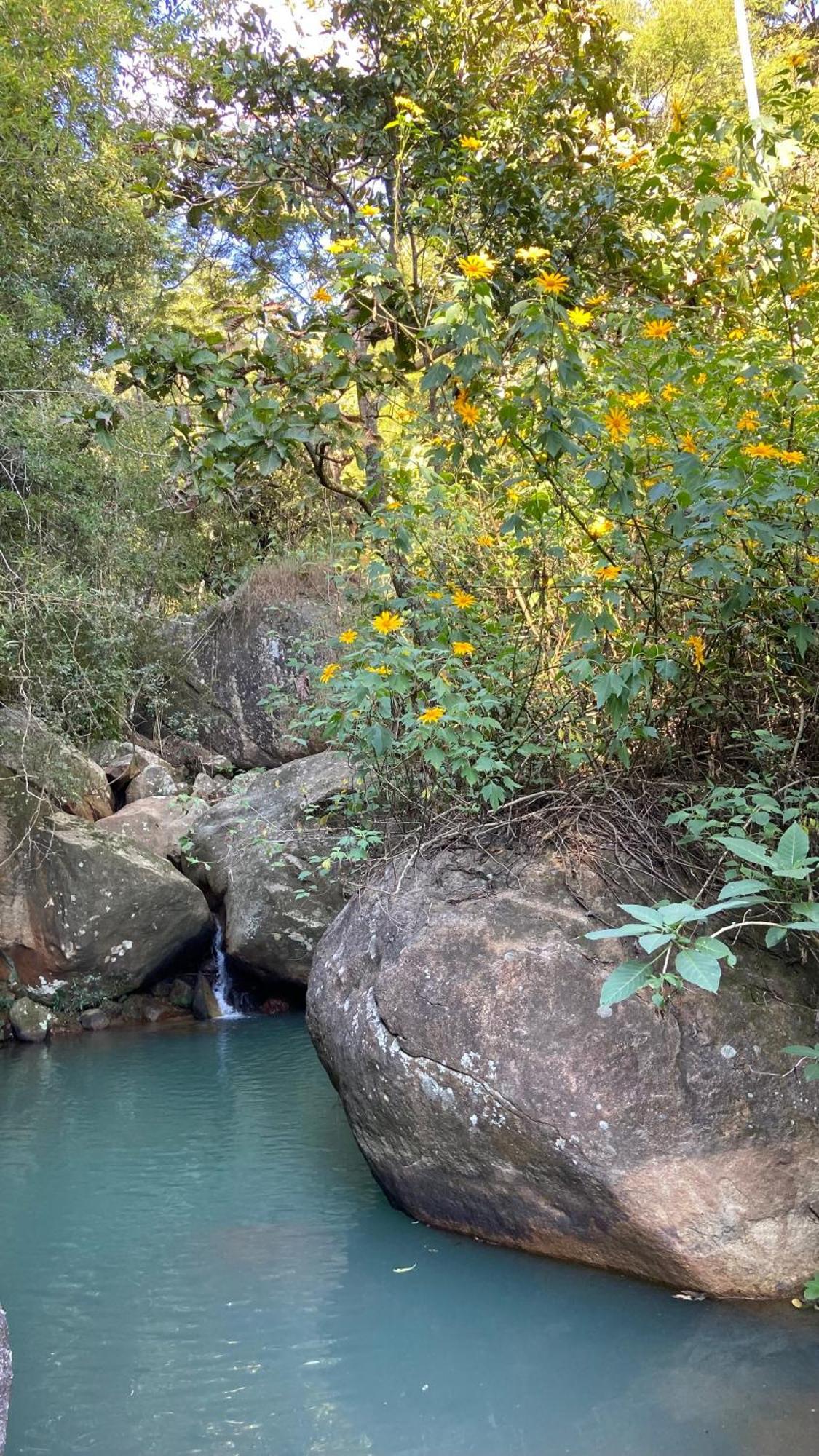 Chale Laranja - Sitio Caldeirao Villa Posse  Bagian luar foto