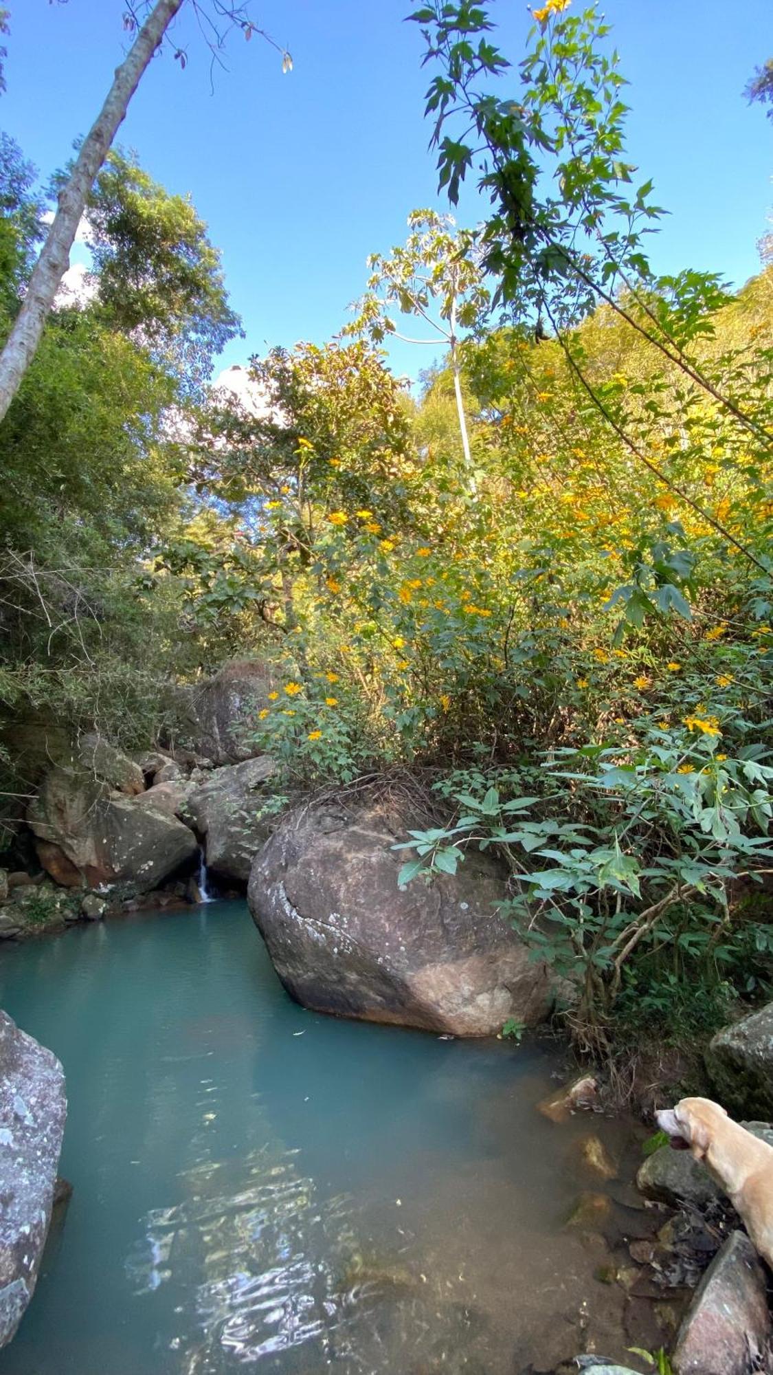 Chale Laranja - Sitio Caldeirao Villa Posse  Bagian luar foto