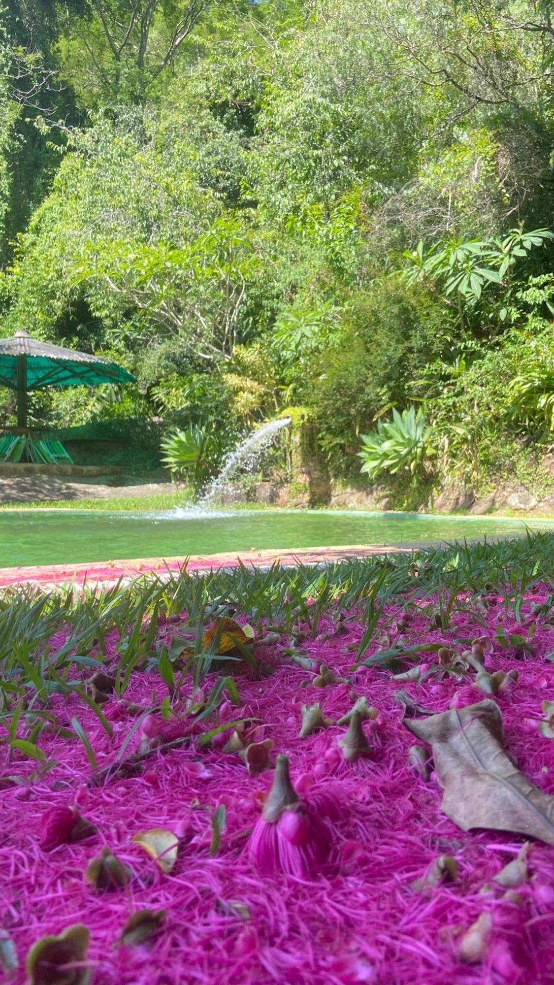 Chale Laranja - Sitio Caldeirao Villa Posse  Bagian luar foto